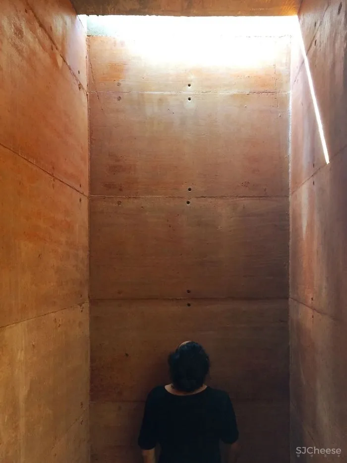 Equipo de Arquitectura丨光影与树 ，洗涤心灵的地方