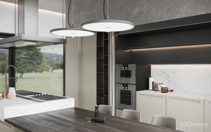 极简即极奢 Alina Larionova新作