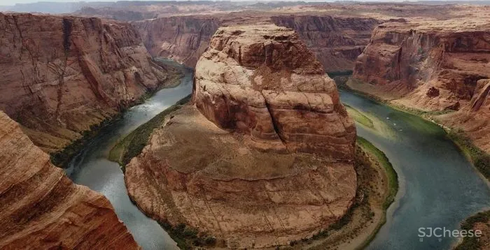 TTD本至设计 × 有猫植说:万物有灵