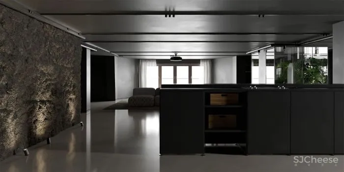 不一样的禁欲主义