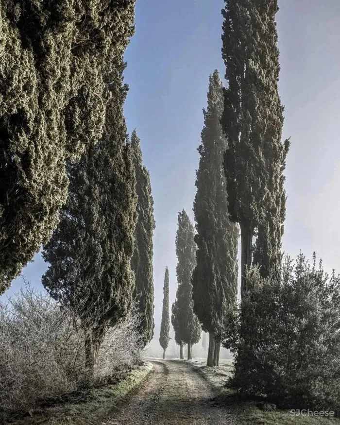 意大利翁布里亚庄园酒店Ristorante Alle Scuderie-这家即将开业的千年庄园酒店,美轮美奂!