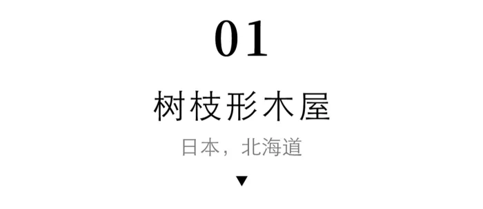 明星夫妻在森林造隐形豪宅