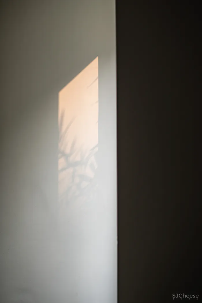 新作丨 曹刚:隐于市 · 静于舍!