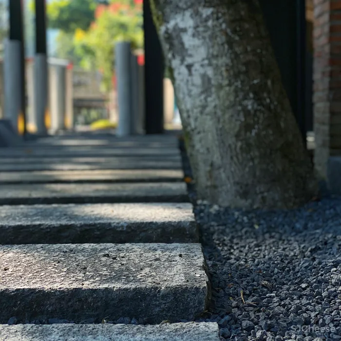 李聪 - 陈书灏 • 莫干山蚕种场｜历史保护建筑“化茧成蝶”