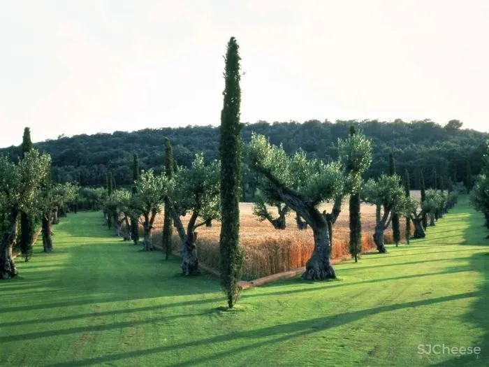 从哲学跨界到景观设计大师,他却说自己只是 一位 “ 园丁 ”