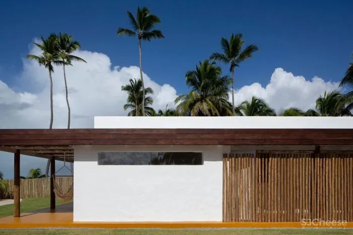 MNMA Studio 野性与灵性的呼唤