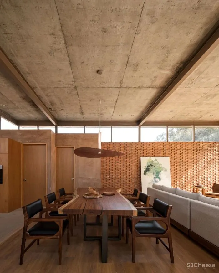 温暖的墨西哥自然主义 Daniela Bucio Sistos