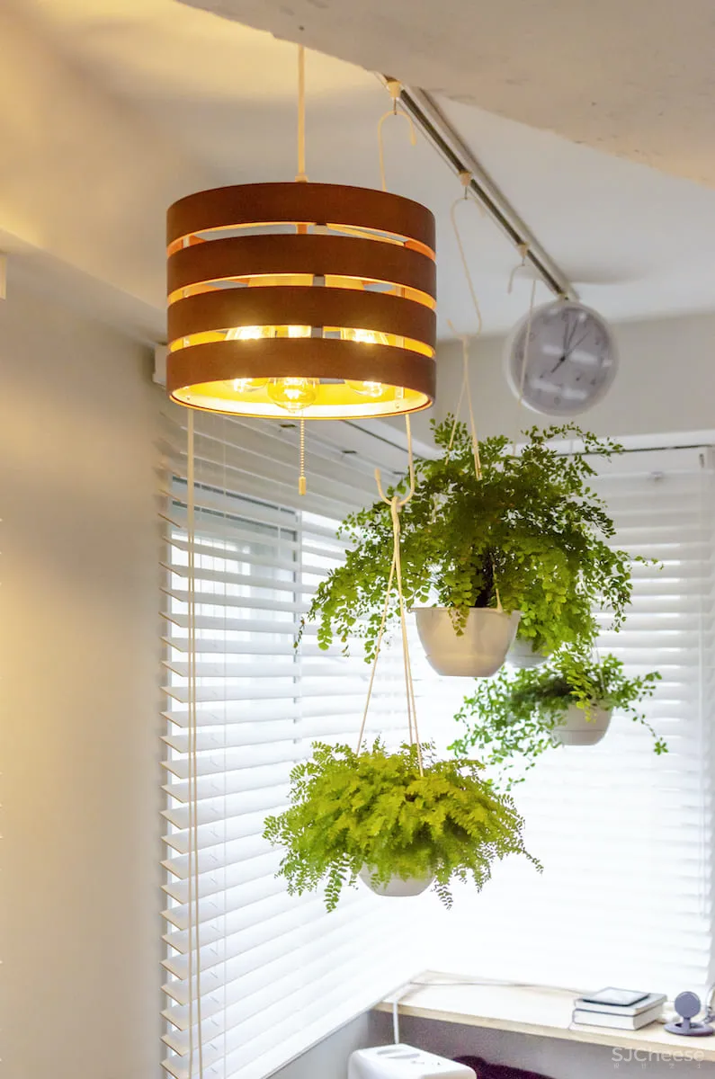 56m²异型空间巧变阳光房,还能干湿四分离 洄游动线!