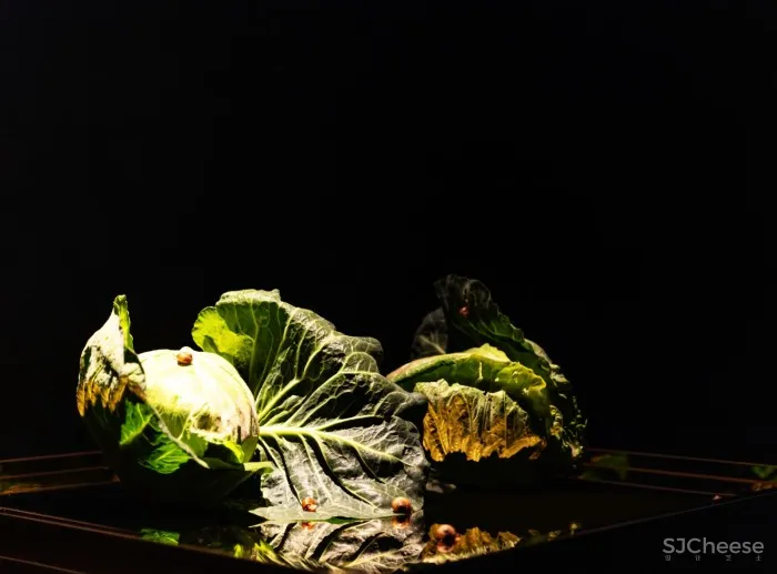 韩熙载夜宴图之叶会所