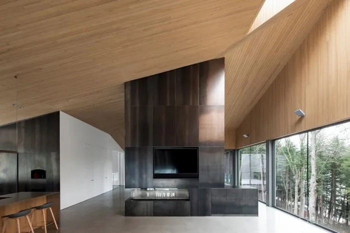 naturehumaine │ 悬浮在森林中的住宅,隐逸而宁静