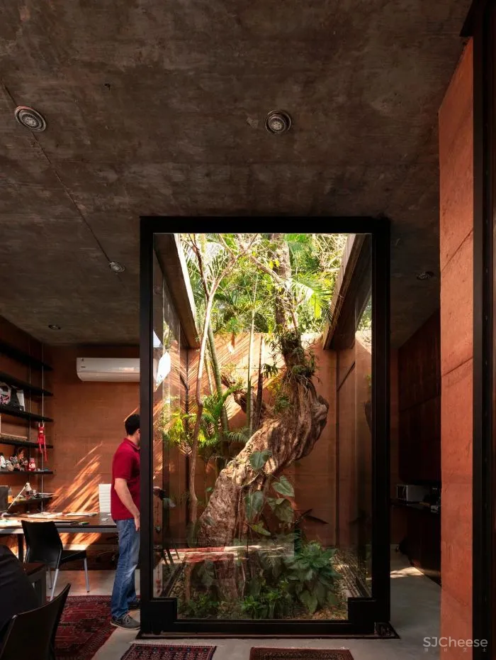 Equipo de Arquitectura丨光影与树 ，洗涤心灵的地方