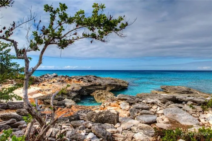 度假目的地|盘点全球38家安缦酒店设计