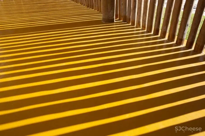 MNMA Studio 野性与灵性的呼唤