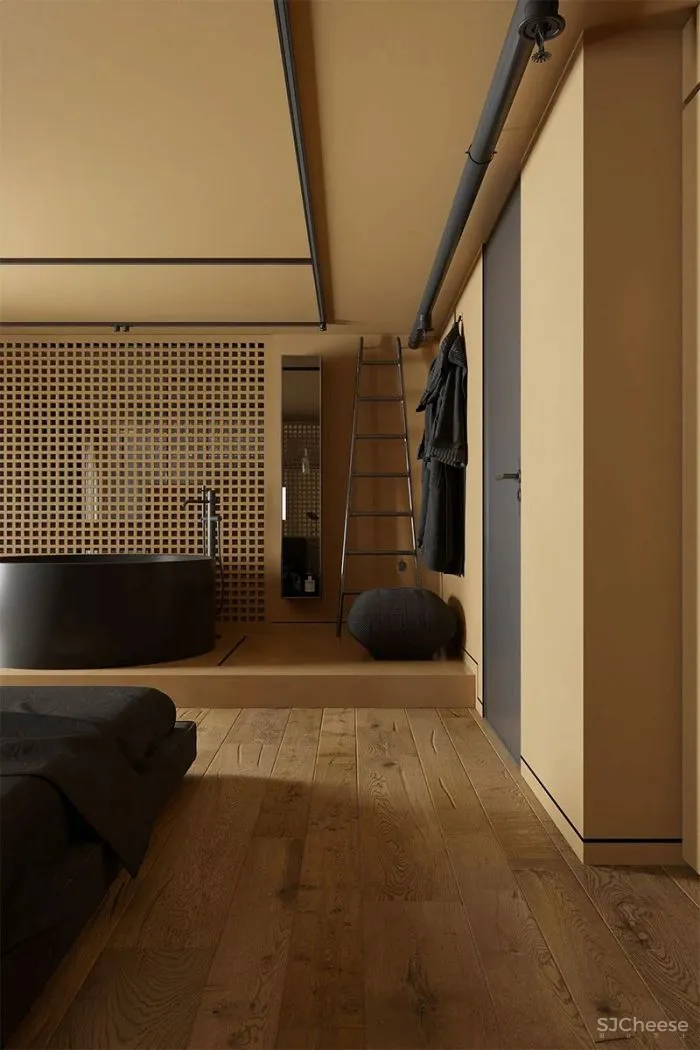 不一样的禁欲主义