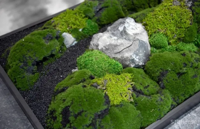 一目设计新作丨摄取城市山水景观片段,瞭望一城未来