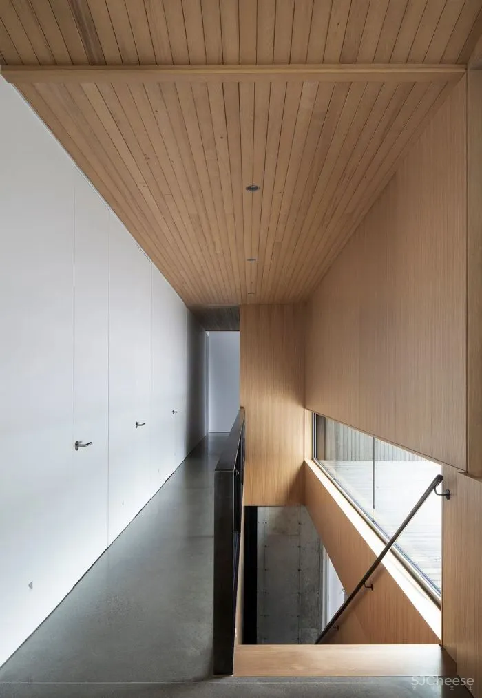 naturehumaine │ 悬浮在森林中的住宅,隐逸而宁静