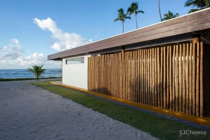 MNMA Studio 野性与灵性的呼唤