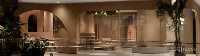 TTD本至设计 × 有猫植说:万物有灵