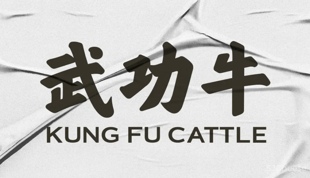 艺鼎品牌全案设计，兰州牛肉面的传承者、传播者、创新者“武功牛”