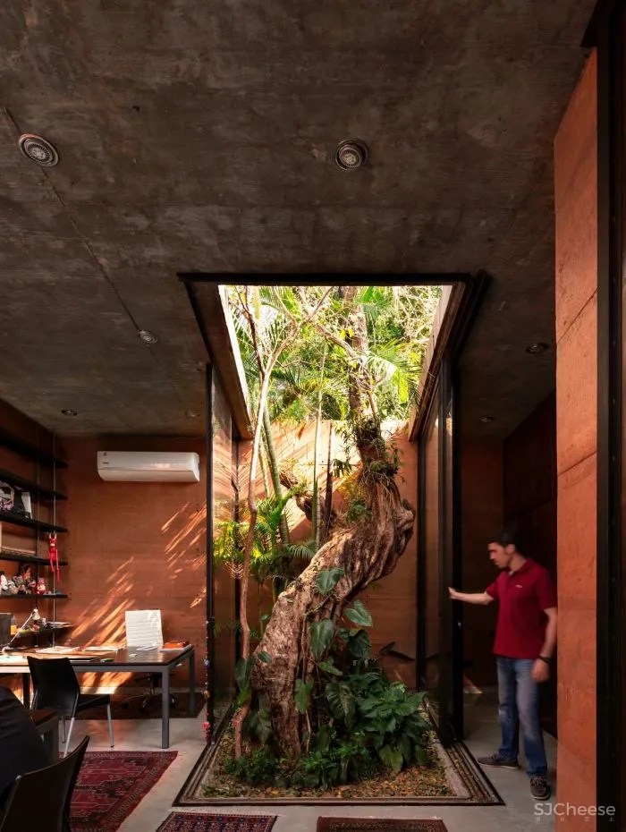 Equipo de Arquitectura丨光影与树 ，洗涤心灵的地方