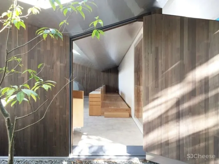 新作丨 树木穿透屋顶 林中诊所 Takashige Yamashita Office