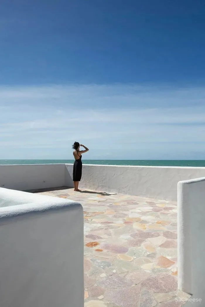 MNMA Studio 野性与灵性的呼唤