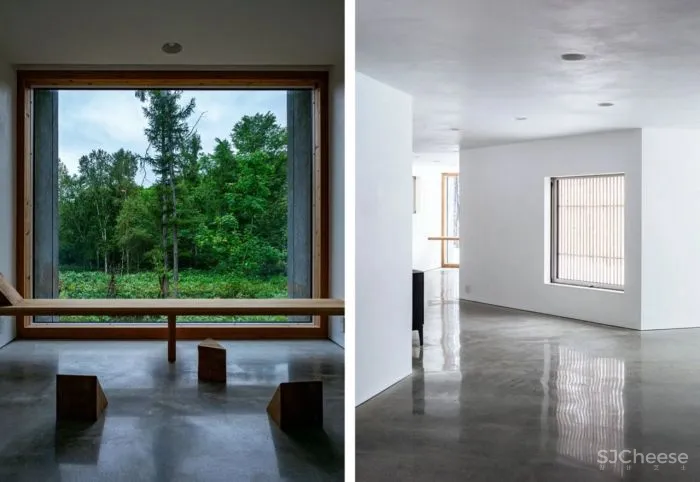 明星夫妻在森林造隐形豪宅