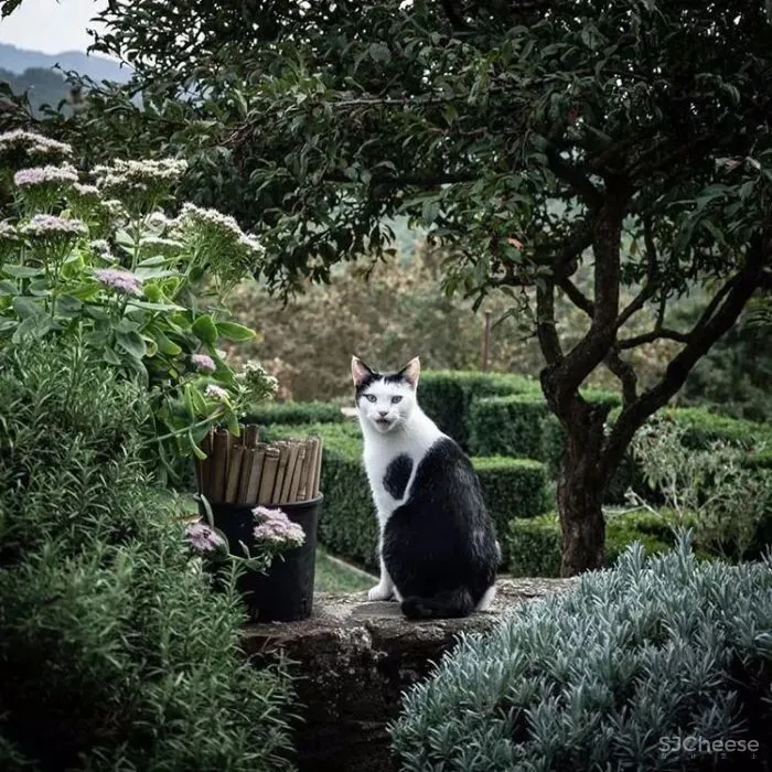意大利翁布里亚庄园酒店Ristorante Alle Scuderie-这家即将开业的千年庄园酒店,美轮美奂!