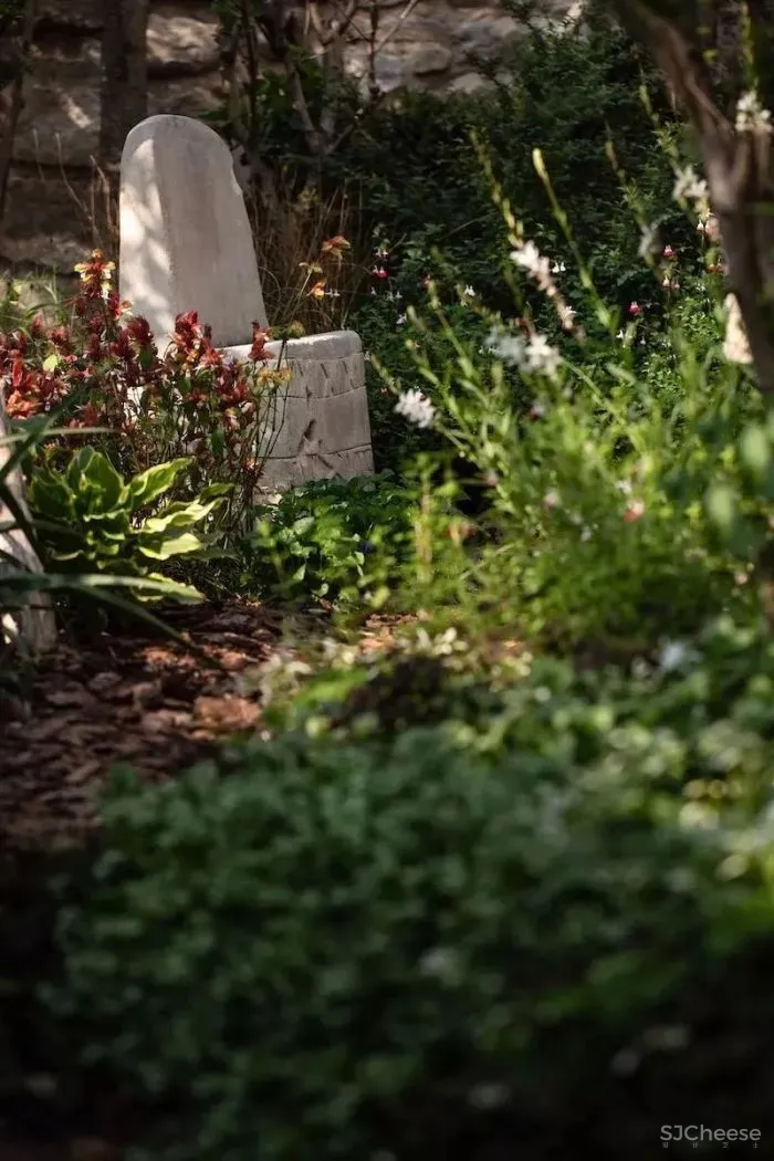 Meet-遇见•梦想改造”设计师谢柯!