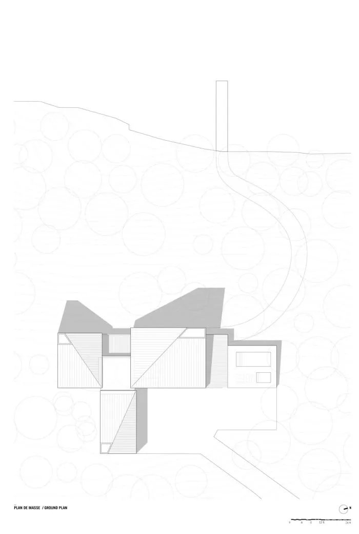naturehumaine │ 悬浮在森林中的住宅,隐逸而宁静