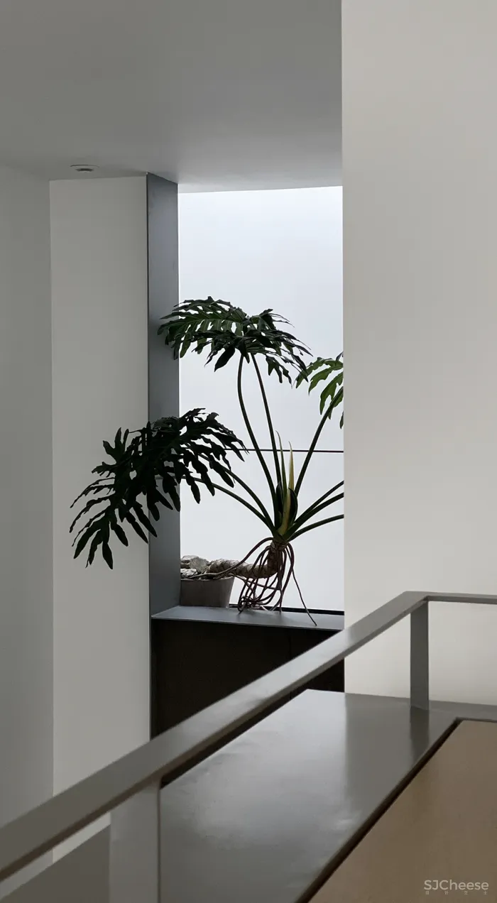 新作|方日新 • 庐州 翠园|这间地复式院落私宅,采光通风极好