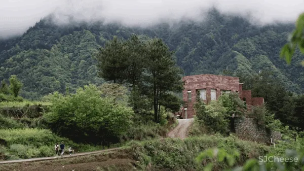 一对沪漂夫妻,回张家界造11层盒子屋,坐拥仙境最美景色