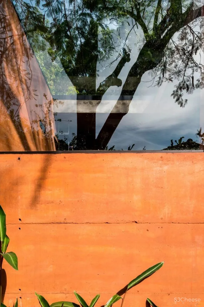 Equipo de Arquitectura丨光影与树 ，洗涤心灵的地方