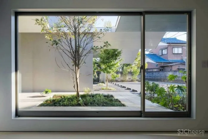 新作丨 树木穿透屋顶 林中诊所 Takashige Yamashita Office