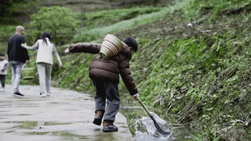 一对沪漂夫妻,回张家界造11层盒子屋,坐拥仙境最美景色