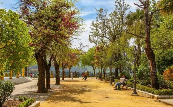 从哲学跨界到景观设计大师,他却说自己只是 一位 “ 园丁 ”