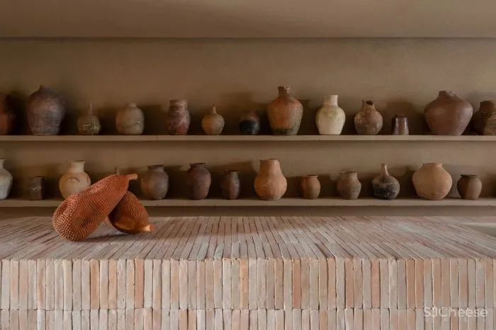 MNMA Studio 野性与灵性的呼唤