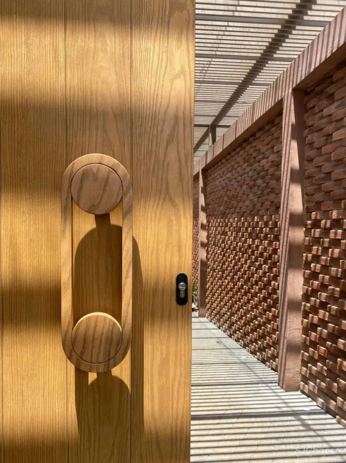 温暖的墨西哥自然主义 Daniela Bucio Sistos