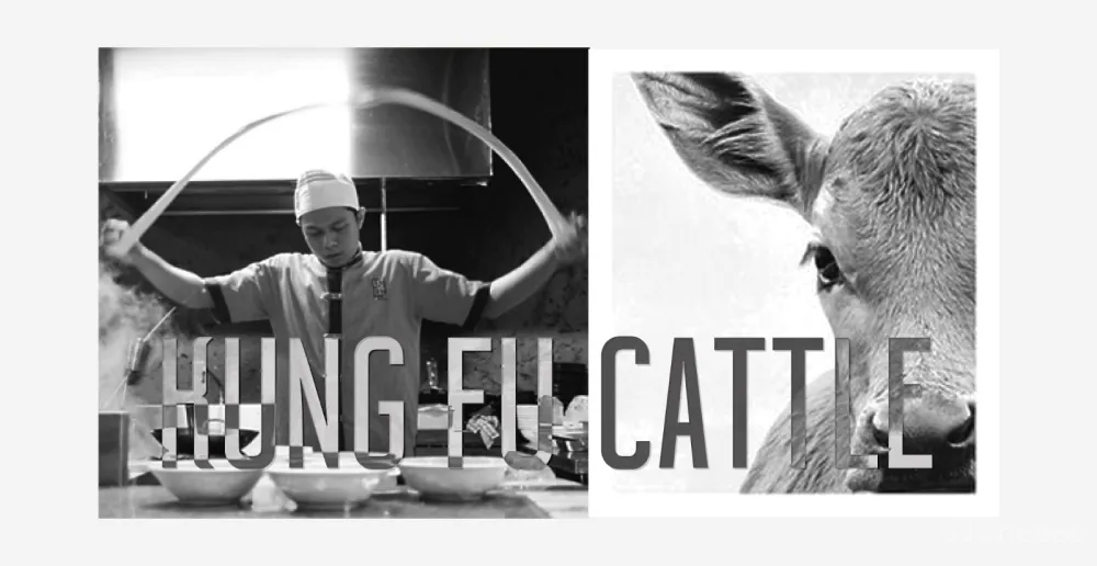 艺鼎品牌全案设计，兰州牛肉面的传承者、传播者、创新者“武功牛”