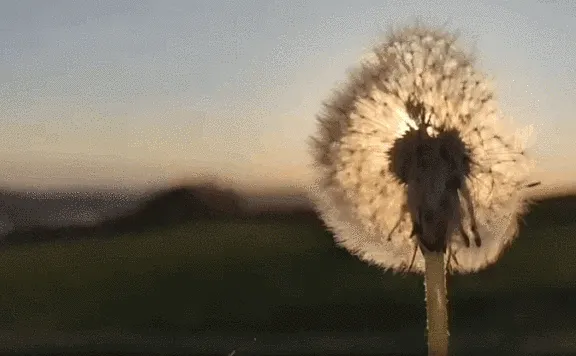 万物生长的艺术融合 | 阳光城昆明·文澜东方项目售楼处