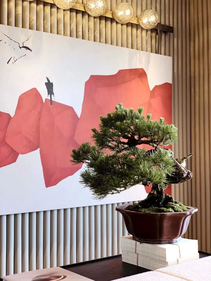 新作丨 春山秋水 澄江流转,航阅古今