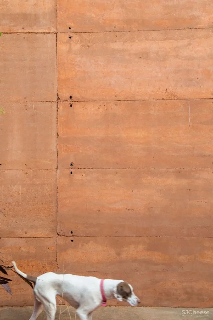 Equipo de Arquitectura丨光影与树 ，洗涤心灵的地方