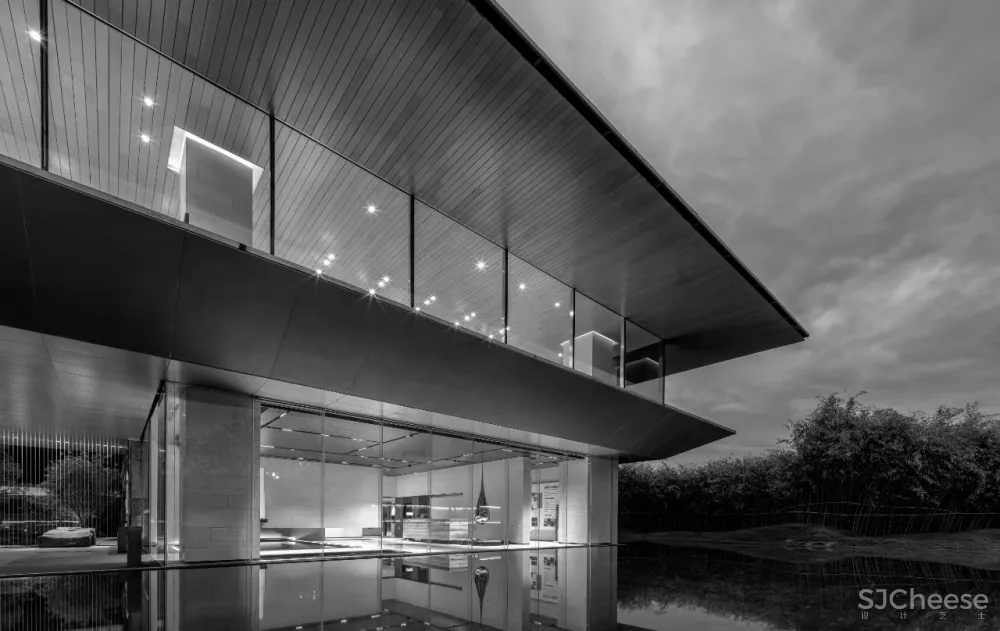 AI DESIGN The Shape Of Water