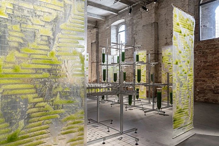 新作 将污染物变成营养 BIT.BIO.BOT生物实验装置 ecoLogicStudio
