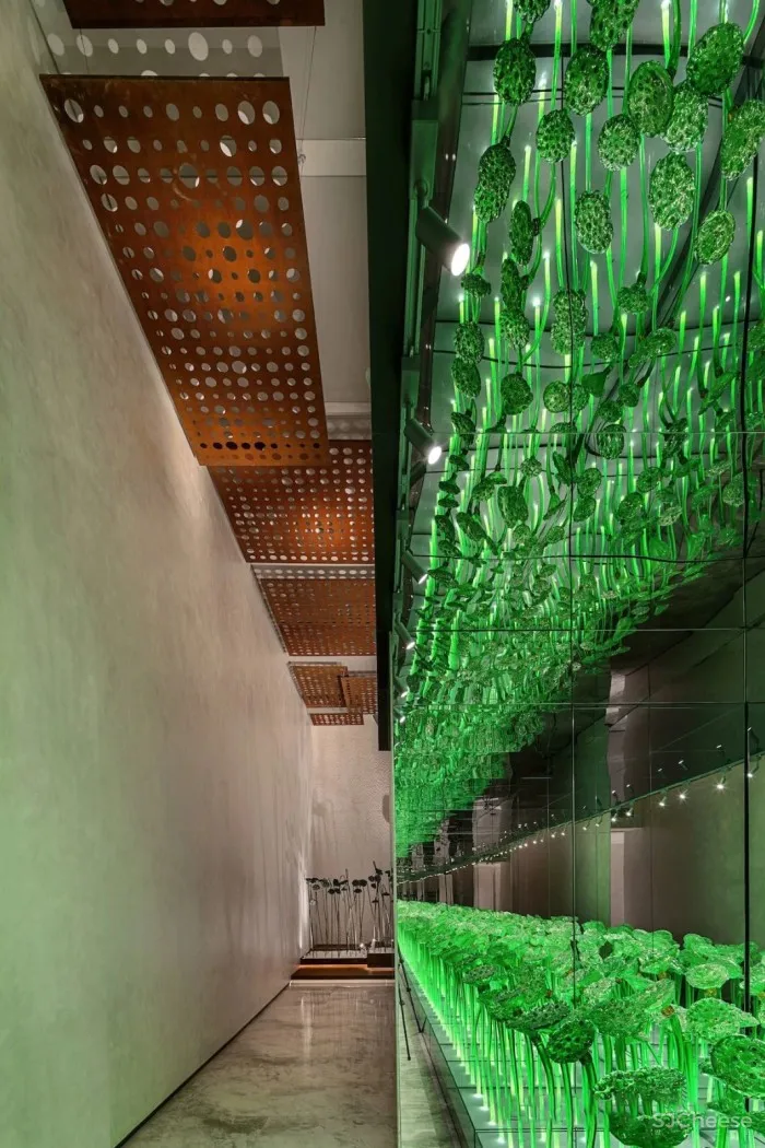 重庆18T,像“梯”一样生长!