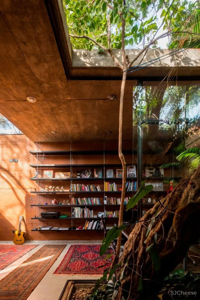 Equipo de Arquitectura丨光影与树 ，洗涤心灵的地方