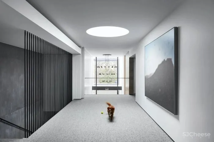 因为有了它,2000多平黑白灰的极简大宅,竟然没那么高冷了!