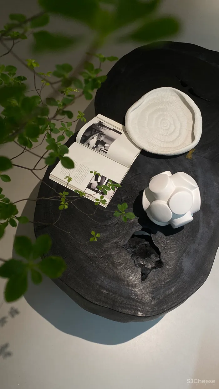 新作|方日新 • 庐州 翠园|这间地复式院落私宅,采光通风极好