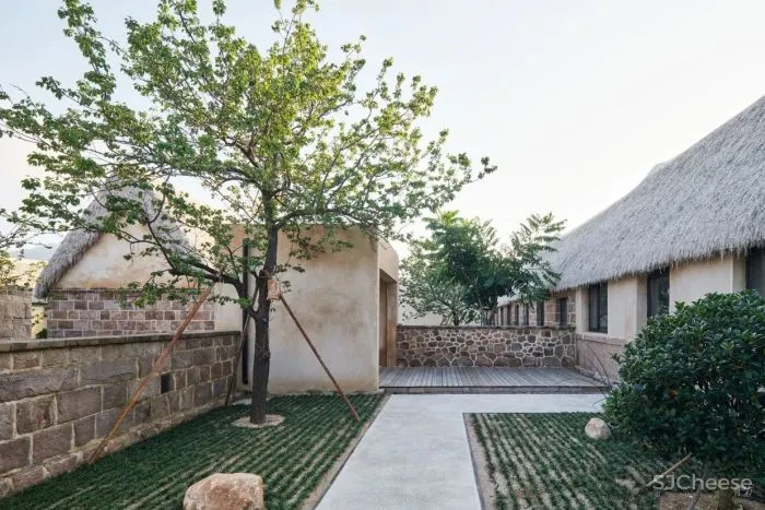 新作 海草房村落的保护与再生:海草湾养生度假村改造设计 灰空间建筑事务所