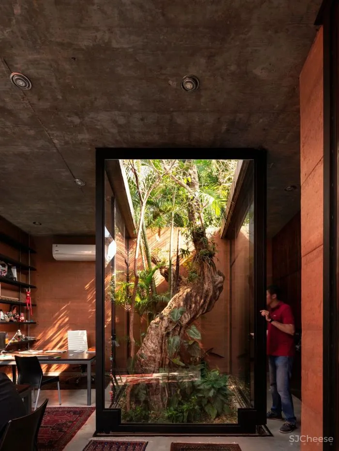 Equipo de Arquitectura丨光影与树 ，洗涤心灵的地方